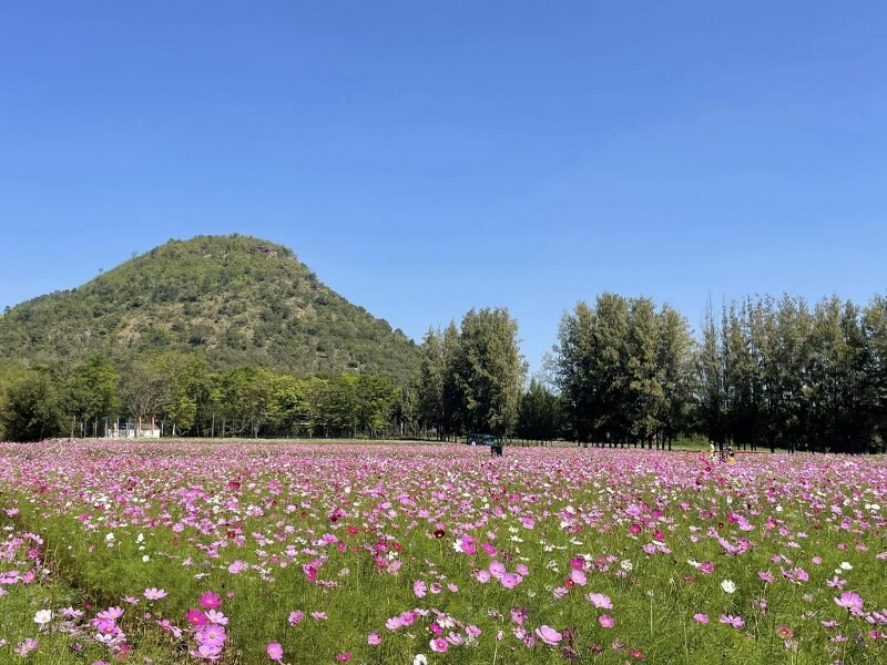 เขาใหญ่, top 17+ ที่เที่ยวโคราช 2567 ที่เที่ยวในเมือง เขาใหญ่ สถานที่ถ่ายรูปสวย บรรยากาศดี