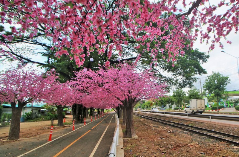 เขาใหญ่, top 17+ ที่เที่ยวโคราช 2567 ที่เที่ยวในเมือง เขาใหญ่ สถานที่ถ่ายรูปสวย บรรยากาศดี