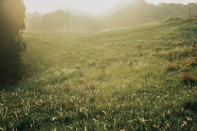 เขาใหญ่, top 17+ ที่เที่ยวโคราช 2567 ที่เที่ยวในเมือง เขาใหญ่ สถานที่ถ่ายรูปสวย บรรยากาศดี