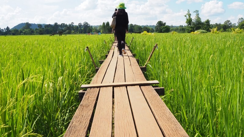 เขาใหญ่, top 17+ ที่เที่ยวโคราช 2567 ที่เที่ยวในเมือง เขาใหญ่ สถานที่ถ่ายรูปสวย บรรยากาศดี