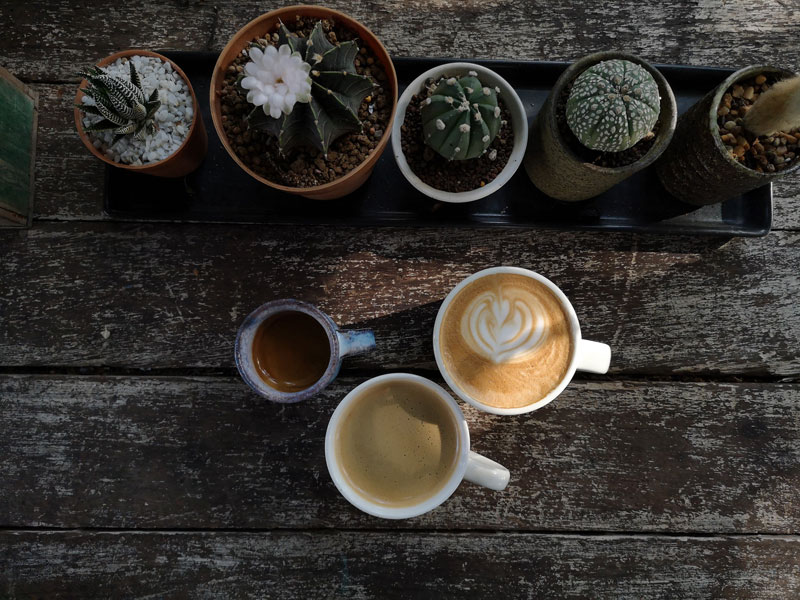 เที่ยวภูเก็ต, ร้านอาหารภูเก็ต, คาเฟ่ภูเก็ต, ร้านกาแฟภูเก็ต, ส่องร้านสุดเก๋ 15  คาเฟ่ภูเก็ต นั่งชิล ถ่ายรูปปัง