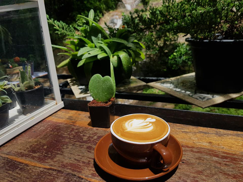 เที่ยวภูเก็ต, ร้านอาหารภูเก็ต, คาเฟ่ภูเก็ต, ร้านกาแฟภูเก็ต, ส่องร้านสุดเก๋ 15  คาเฟ่ภูเก็ต นั่งชิล ถ่ายรูปปัง