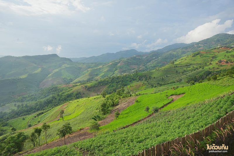 ดอยช้าง, ที่พักดอยช้าง, my story ดอยช้าง, my story  ที่พักดอยช้างสวยจริง วิวเต็มร้อย