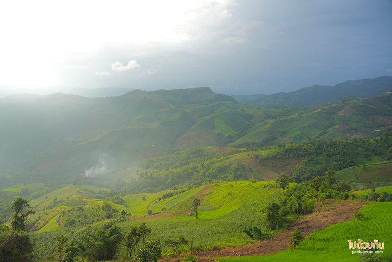 ดอยช้าง, ที่พักดอยช้าง, my story ดอยช้าง, my story  ที่พักดอยช้างสวยจริง วิวเต็มร้อย
