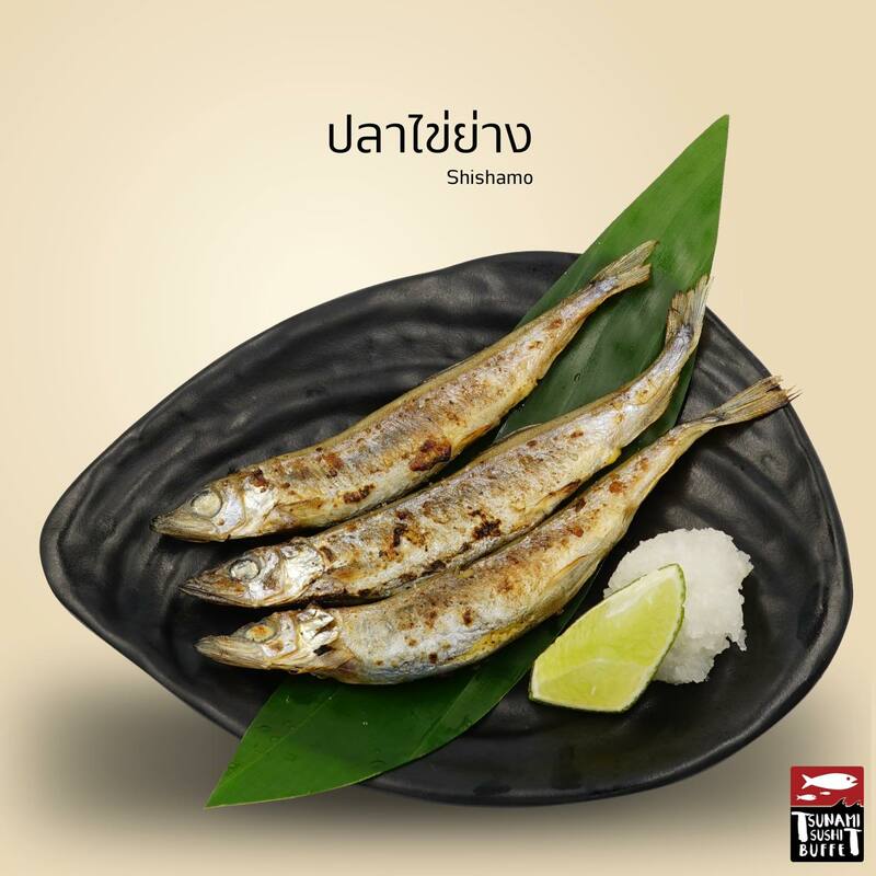 รวมร้านบุฟเฟ่ต์อาหารญี่ปุ่นพัทยา จัดหนักจัดเต็ม แซลมอนฉ่ำๆ พร้อมไลน์อาหารอีกเพียบ