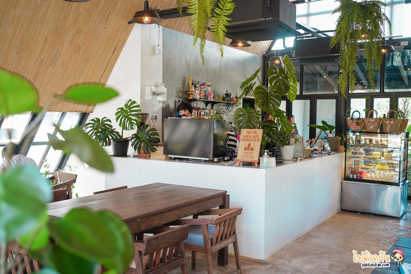jungle space cafe & bistro นครพนม, คาเฟ่นครพนม, ร้านกาแฟนครพนม, jungle space cafe & bistro  คาเฟ่สุดเท่แห่งนครพนม