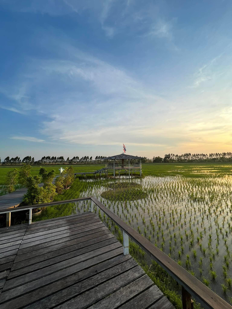 top 11+ คาเฟ่นครนายก 2567 ใกล้เขื่อน ติดริมน้ำ บรรยากาศดี น่านั่ง ถ่ายรูปสวย