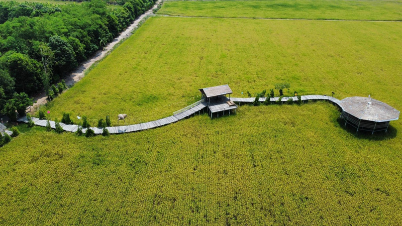 top 11+ คาเฟ่นครนายก 2567 ใกล้เขื่อน ติดริมน้ำ บรรยากาศดี น่านั่ง ถ่ายรูปสวย