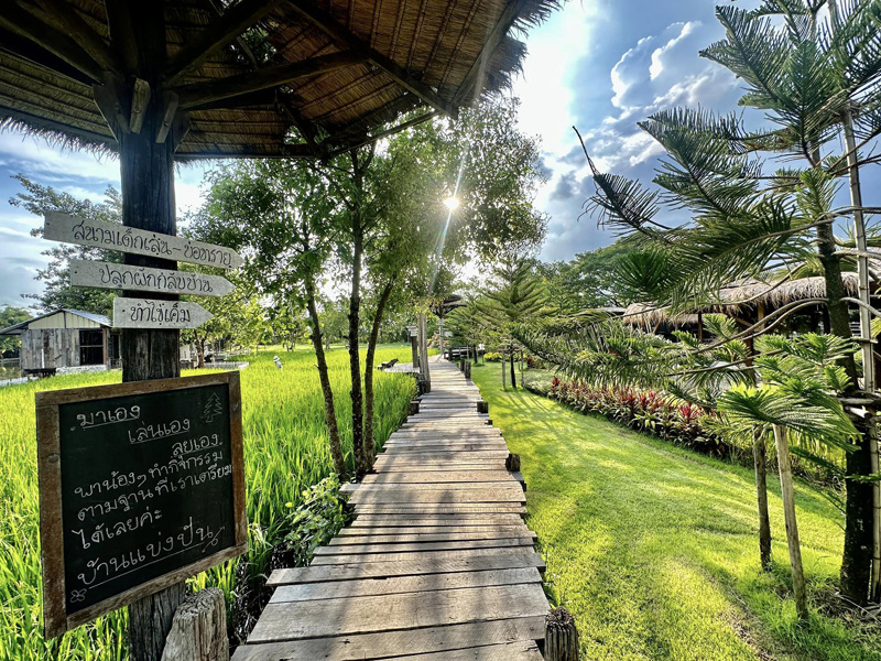 top 11+ คาเฟ่นครนายก 2567 ใกล้เขื่อน ติดริมน้ำ บรรยากาศดี น่านั่ง ถ่ายรูปสวย