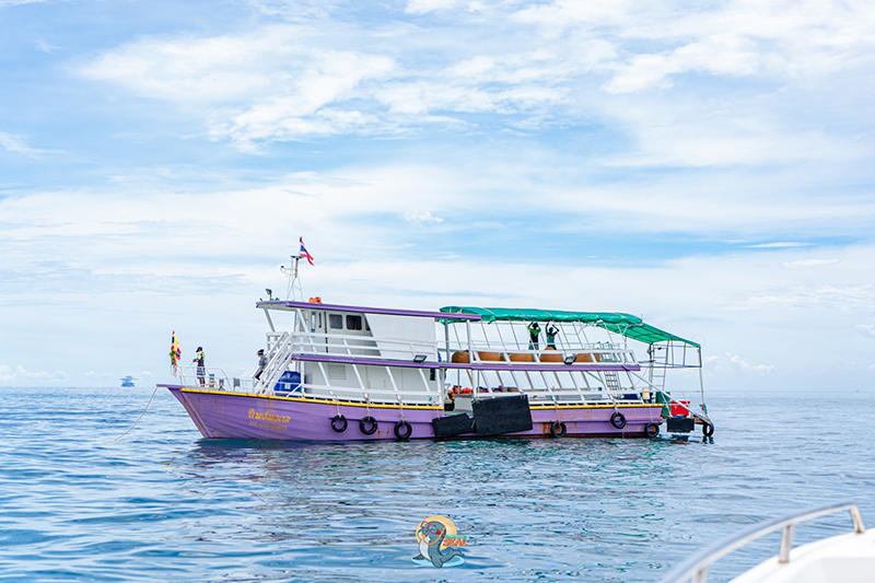 พัทยา, top 19+ ที่เที่ยวพัทยา 2567 ที่เที่ยวเปิดใหม่ ใกล้กรุงเทพฯ ไปเช้าเย็นกลับได้