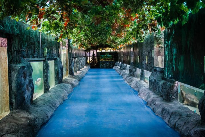 พัทยา, top 19+ ที่เที่ยวพัทยา 2567 ที่เที่ยวเปิดใหม่ ใกล้กรุงเทพฯ ไปเช้าเย็นกลับได้