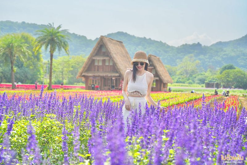 เที่ยวปากช่อง, เที่ยวเขาใหญ่, เขาใหญ่, เที่ยวนครราชสีมา, เที่ยวธรรมชาติเขาใหญ่, top 20+ ที่เที่ยวเขาใหญ่ พร้อมตัวอย่างโปรแกรมเที่ยว ทั้งไปกลับและค้างคืน