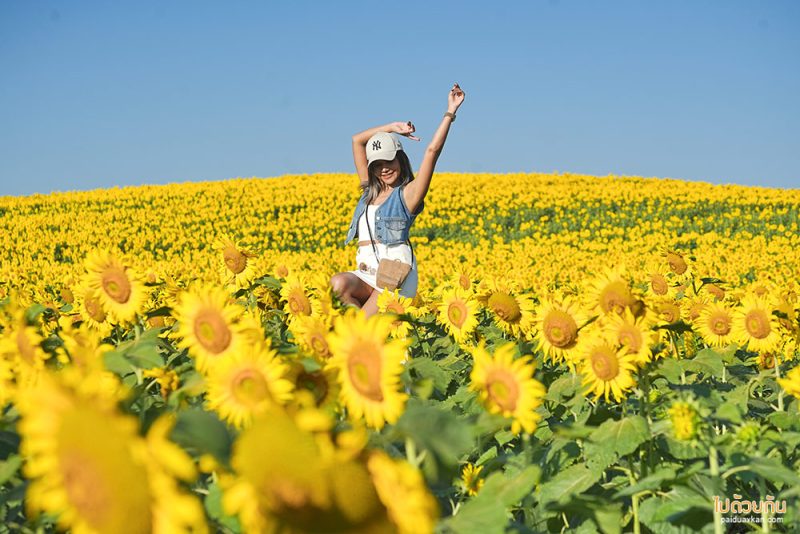 เที่ยวปากช่อง, เที่ยวเขาใหญ่, เขาใหญ่, เที่ยวนครราชสีมา, เที่ยวธรรมชาติเขาใหญ่, top 20+ ที่เที่ยวเขาใหญ่ พร้อมตัวอย่างโปรแกรมเที่ยว ทั้งไปกลับและค้างคืน