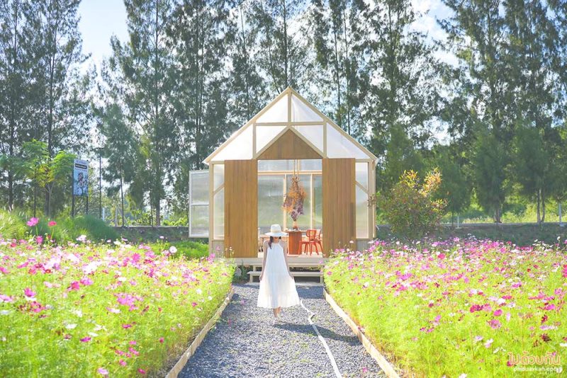 เที่ยวปากช่อง, เที่ยวเขาใหญ่, เขาใหญ่, เที่ยวนครราชสีมา, เที่ยวธรรมชาติเขาใหญ่, top 20+ ที่เที่ยวเขาใหญ่ พร้อมตัวอย่างโปรแกรมเที่ยว ทั้งไปกลับและค้างคืน