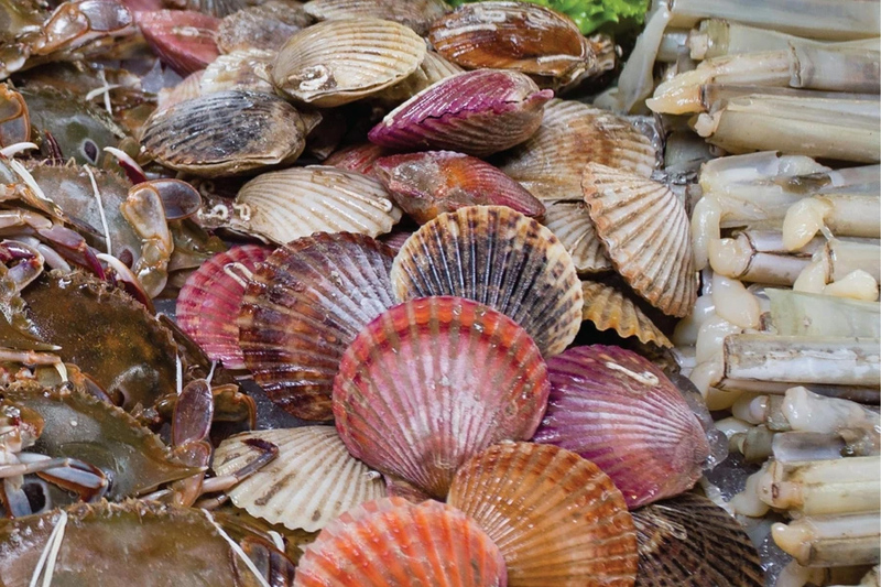 top 8+ ร้านบุฟเฟ่ต์ปิ้งย่าง-ชาบู ย่านบางแค อิ่มคุ้ม อร่อยฟินเว่อร์