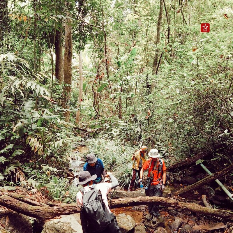 reviewchiangmai, ดอยปุย-ขุนช่างเคี่ยน, ที่เท่ียวเชียงใหม่, บ้านม้งดอยปุย, รีวิวเชียงใหม่, เดินป่าในเชียงใหม่, เดินป่าดอยปุย ต้มกาแฟ ณ น้ำตกในสวนลิ้นจี่-บ้านม้ง-ขุนช่างเคี่ยน