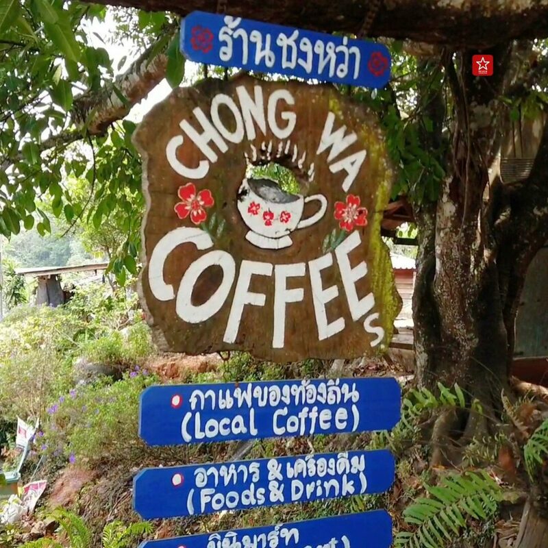 reviewchiangmai, ดอยปุย-ขุนช่างเคี่ยน, ที่เท่ียวเชียงใหม่, บ้านม้งดอยปุย, รีวิวเชียงใหม่, เดินป่าในเชียงใหม่, เดินป่าดอยปุย ต้มกาแฟ ณ น้ำตกในสวนลิ้นจี่-บ้านม้ง-ขุนช่างเคี่ยน