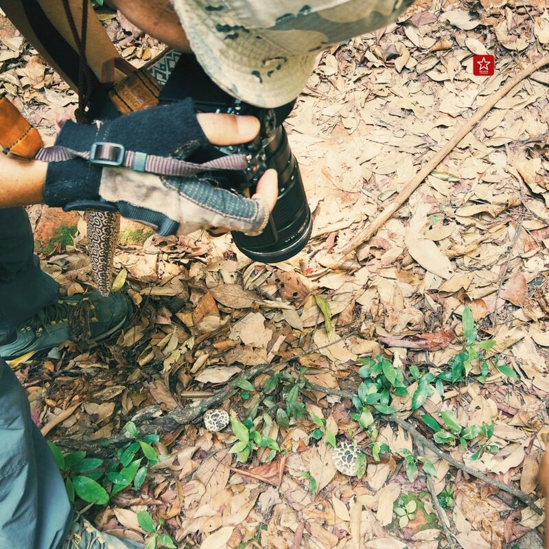 reviewchiangmai, ดอยปุย-ขุนช่างเคี่ยน, ที่เท่ียวเชียงใหม่, บ้านม้งดอยปุย, รีวิวเชียงใหม่, เดินป่าในเชียงใหม่, เดินป่าดอยปุย ต้มกาแฟ ณ น้ำตกในสวนลิ้นจี่-บ้านม้ง-ขุนช่างเคี่ยน