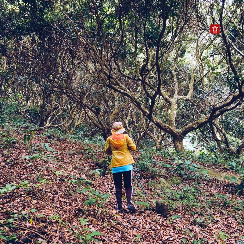 reviewchiangmai, ดอยปุย-ขุนช่างเคี่ยน, ที่เท่ียวเชียงใหม่, บ้านม้งดอยปุย, รีวิวเชียงใหม่, เดินป่าในเชียงใหม่, เดินป่าดอยปุย ต้มกาแฟ ณ น้ำตกในสวนลิ้นจี่-บ้านม้ง-ขุนช่างเคี่ยน