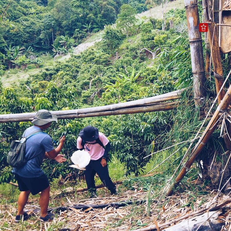 reviewchiangmai, ดอยปุย-ขุนช่างเคี่ยน, ที่เท่ียวเชียงใหม่, บ้านม้งดอยปุย, รีวิวเชียงใหม่, เดินป่าในเชียงใหม่, เดินป่าดอยปุย ต้มกาแฟ ณ น้ำตกในสวนลิ้นจี่-บ้านม้ง-ขุนช่างเคี่ยน