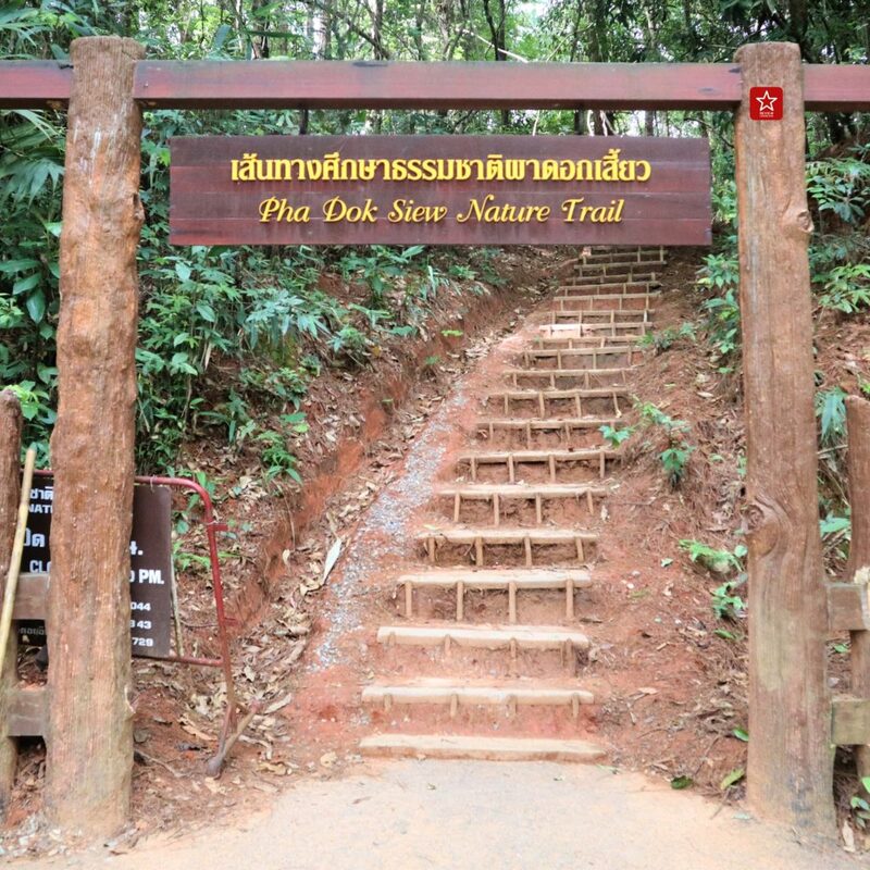 onedaytrip, ดอยอินทนนท์, ที่เที่ยวเชียงใหม่, น้ำตกผาดอกเสี้ยว, น้ำตกรักจัง, รถตู้ดอยอินทนนท์, เชียงใหม่ไลฟ์สไตล์, เดินป่า, เดินป่าเชียงใหม่, เส้นทางศึกษาธรรมชาติผาดอกเสี้ยว, เส้นทางเดินป่าเชียงใหม่, แอ่วได้แอ่วดี, ผาดอกเสี้ยว เดินลุยป่าหน้าฝน น้ำตกรักจัง ที่ไม่ลับบนดอยอินทนนท์