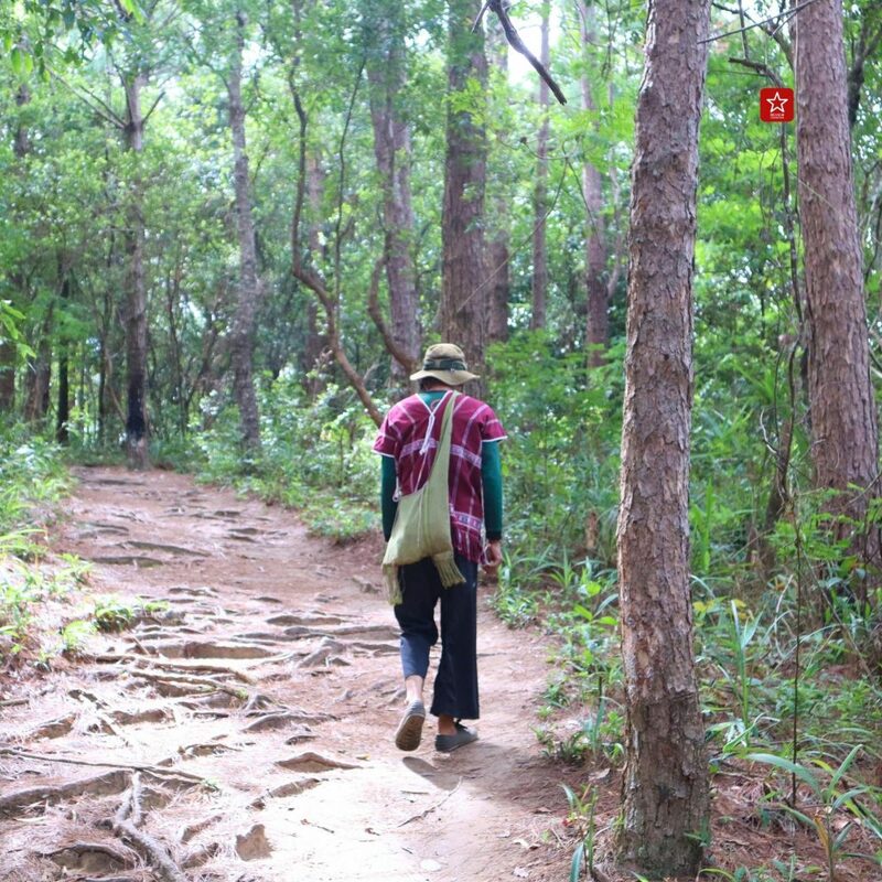 onedaytrip, ดอยอินทนนท์, ที่เที่ยวเชียงใหม่, น้ำตกผาดอกเสี้ยว, น้ำตกรักจัง, รถตู้ดอยอินทนนท์, เชียงใหม่ไลฟ์สไตล์, เดินป่า, เดินป่าเชียงใหม่, เส้นทางศึกษาธรรมชาติผาดอกเสี้ยว, เส้นทางเดินป่าเชียงใหม่, แอ่วได้แอ่วดี, ผาดอกเสี้ยว เดินลุยป่าหน้าฝน น้ำตกรักจัง ที่ไม่ลับบนดอยอินทนนท์