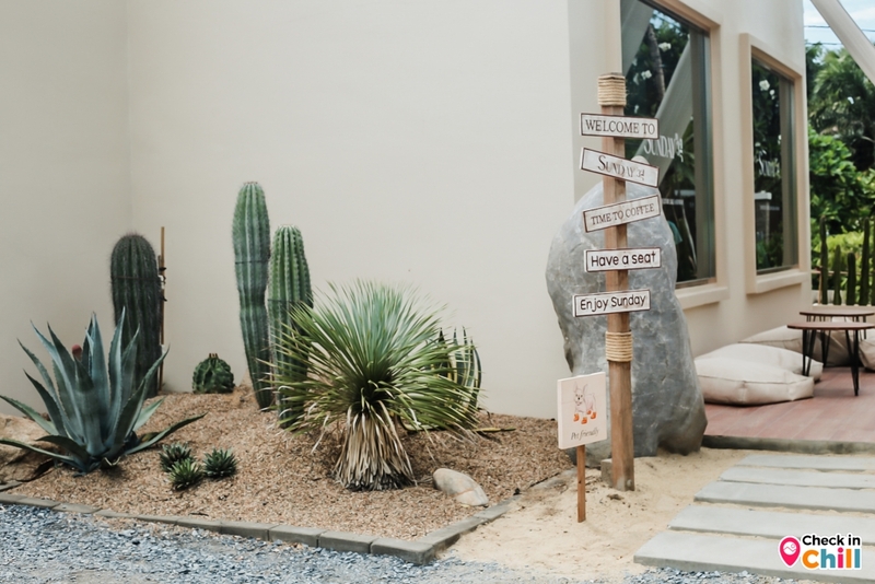 sunday in 345, sunday in 345 cafe, คาเฟ่ทะเลทราย, คาเฟ่ปทุมธานี, คาเฟ่เปิดใหม่, คาเฟ่ใกล้กทม., คาเฟ่ใกล้กรุงเทพ, รีวิว sunday in 345 cafe คาเฟ่เปิดใหม่ปทุมธานี เพ็ทเฟรนด์ลี่ ฟีลทะเลทราย สไตล์มินิมอล