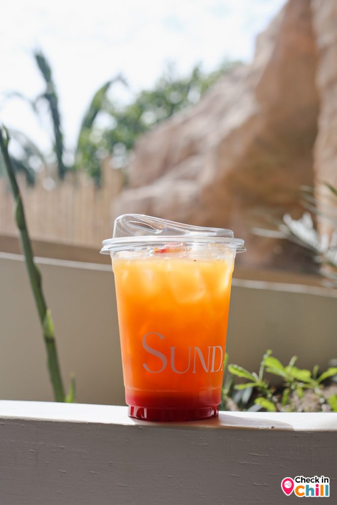 sunday in 345, sunday in 345 cafe, คาเฟ่ทะเลทราย, คาเฟ่ปทุมธานี, คาเฟ่เปิดใหม่, คาเฟ่ใกล้กทม., คาเฟ่ใกล้กรุงเทพ, รีวิว sunday in 345 cafe คาเฟ่เปิดใหม่ปทุมธานี เพ็ทเฟรนด์ลี่ ฟีลทะเลทราย สไตล์มินิมอล