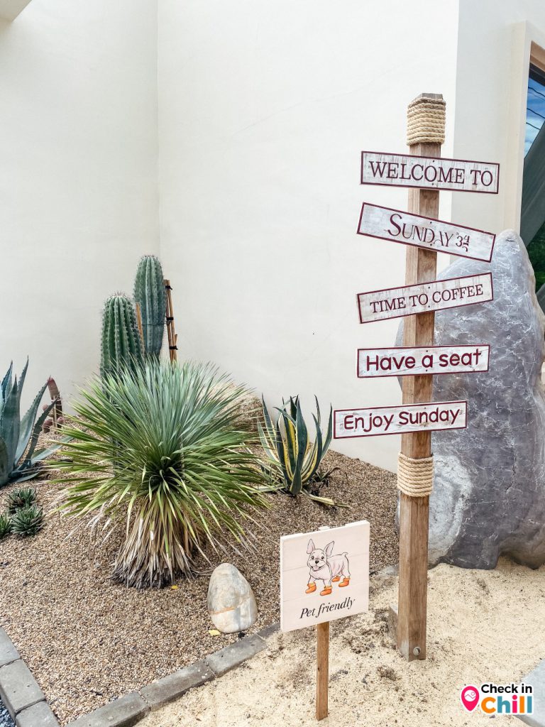 sunday in 345, sunday in 345 cafe, คาเฟ่ทะเลทราย, คาเฟ่ปทุมธานี, คาเฟ่เปิดใหม่, คาเฟ่ใกล้กทม., คาเฟ่ใกล้กรุงเทพ, รีวิว sunday in 345 cafe คาเฟ่เปิดใหม่ปทุมธานี เพ็ทเฟรนด์ลี่ ฟีลทะเลทราย สไตล์มินิมอล