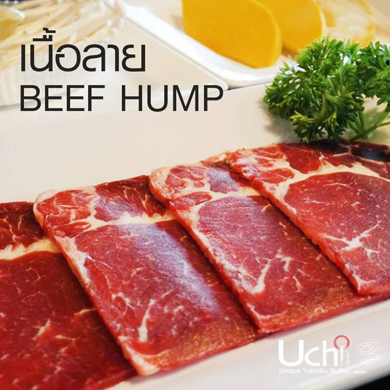 top 5+ ร้านเนื้อนำเข้า คัดเน้น ๆ อิ่มจัดหนัก กินไม่อั้นคนละไม่เกิน 499+