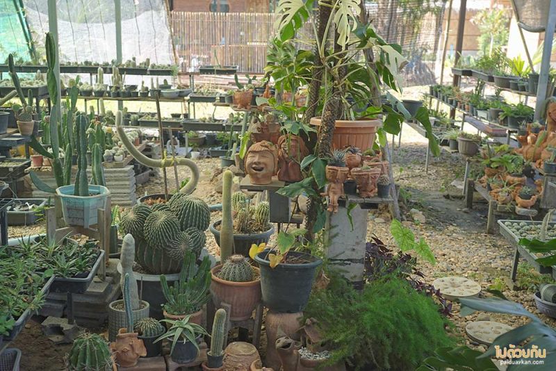 ที่พักถ้ำนาคี, 3039 นาคี เบสแคมป์, 3039 นาคี สเตชั่น, top 3039+ นาคี เบสแคมป์ & 3039 นาคี สเตชั่น ที่พัก ร้านอาหาร ใกล้ถ้ำนาคี