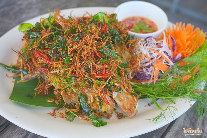 ที่พักถ้ำนาคี, 3039 นาคี เบสแคมป์, 3039 นาคี สเตชั่น, top 3039+ นาคี เบสแคมป์ & 3039 นาคี สเตชั่น ที่พัก ร้านอาหาร ใกล้ถ้ำนาคี