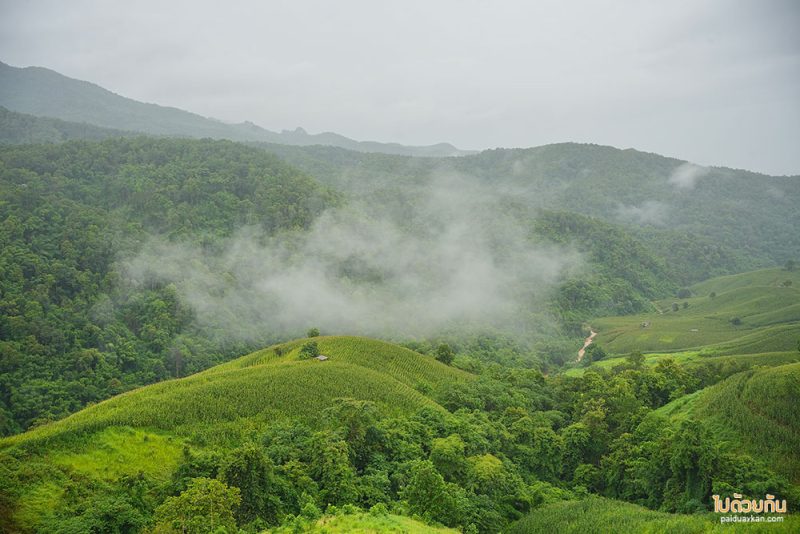 ที่พักแพร่, ไร่ลุงรอน, เที่ยวแพร่, ไร่ลุงลอน ที่พักแพร่ริมถนนลอยฟ้า วิวเขาสวยสุดๆ