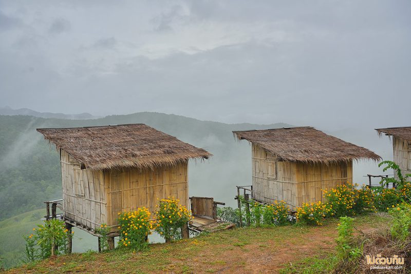 ที่พักแพร่, ไร่ลุงรอน, เที่ยวแพร่, ไร่ลุงลอน ที่พักแพร่ริมถนนลอยฟ้า วิวเขาสวยสุดๆ