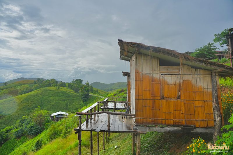 ที่พักแพร่, ไร่ลุงรอน, เที่ยวแพร่, ไร่ลุงลอน ที่พักแพร่ริมถนนลอยฟ้า วิวเขาสวยสุดๆ