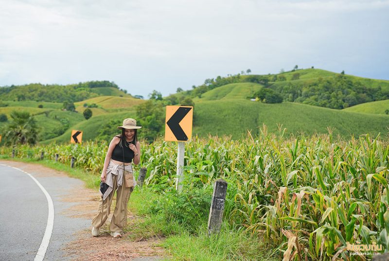 ที่พักแพร่, ไร่ลุงรอน, เที่ยวแพร่, ไร่ลุงลอน ที่พักแพร่ริมถนนลอยฟ้า วิวเขาสวยสุดๆ