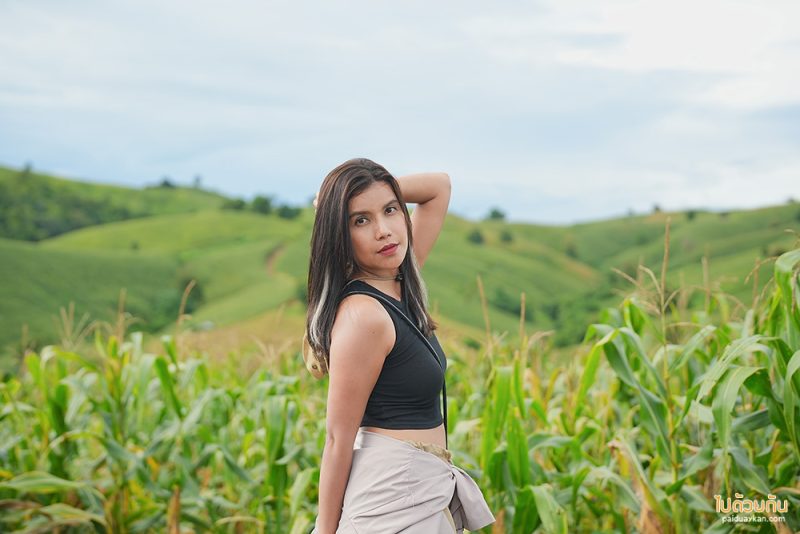 ที่พักแพร่, ไร่ลุงรอน, เที่ยวแพร่, ไร่ลุงลอน ที่พักแพร่ริมถนนลอยฟ้า วิวเขาสวยสุดๆ