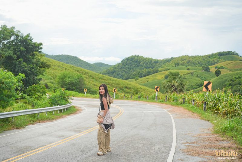 ที่พักแพร่, ไร่ลุงรอน, เที่ยวแพร่, ไร่ลุงลอน ที่พักแพร่ริมถนนลอยฟ้า วิวเขาสวยสุดๆ