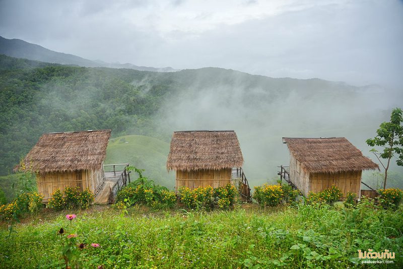 ที่พักแพร่, ไร่ลุงรอน, เที่ยวแพร่, ไร่ลุงลอน ที่พักแพร่ริมถนนลอยฟ้า วิวเขาสวยสุดๆ