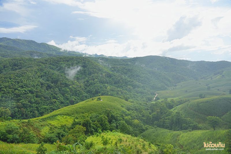 ที่พักแพร่, ไร่ลุงรอน, เที่ยวแพร่, ไร่ลุงลอน ที่พักแพร่ริมถนนลอยฟ้า วิวเขาสวยสุดๆ