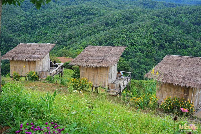 ที่พักแพร่, ไร่ลุงรอน, เที่ยวแพร่, ไร่ลุงลอน ที่พักแพร่ริมถนนลอยฟ้า วิวเขาสวยสุดๆ