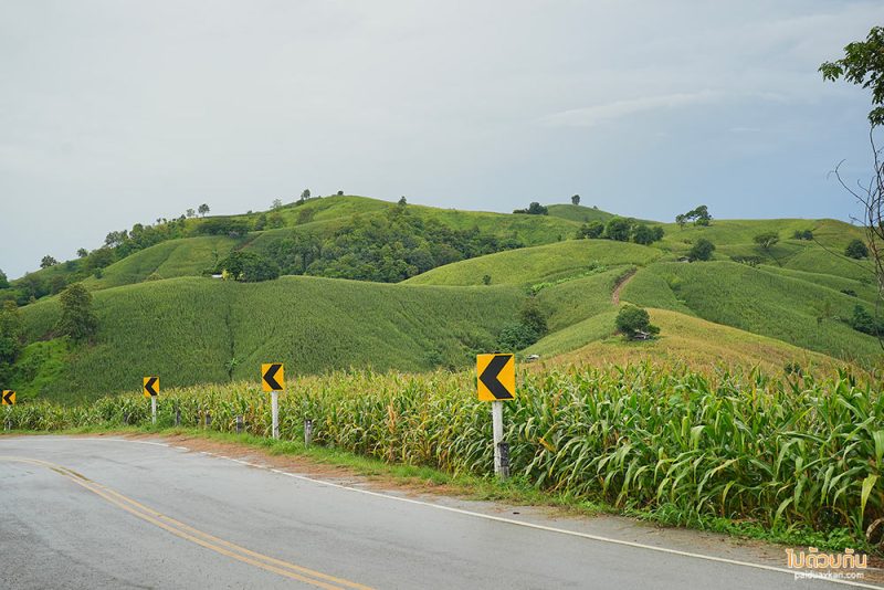 ที่พักแพร่, ไร่ลุงรอน, เที่ยวแพร่, ไร่ลุงลอน ที่พักแพร่ริมถนนลอยฟ้า วิวเขาสวยสุดๆ