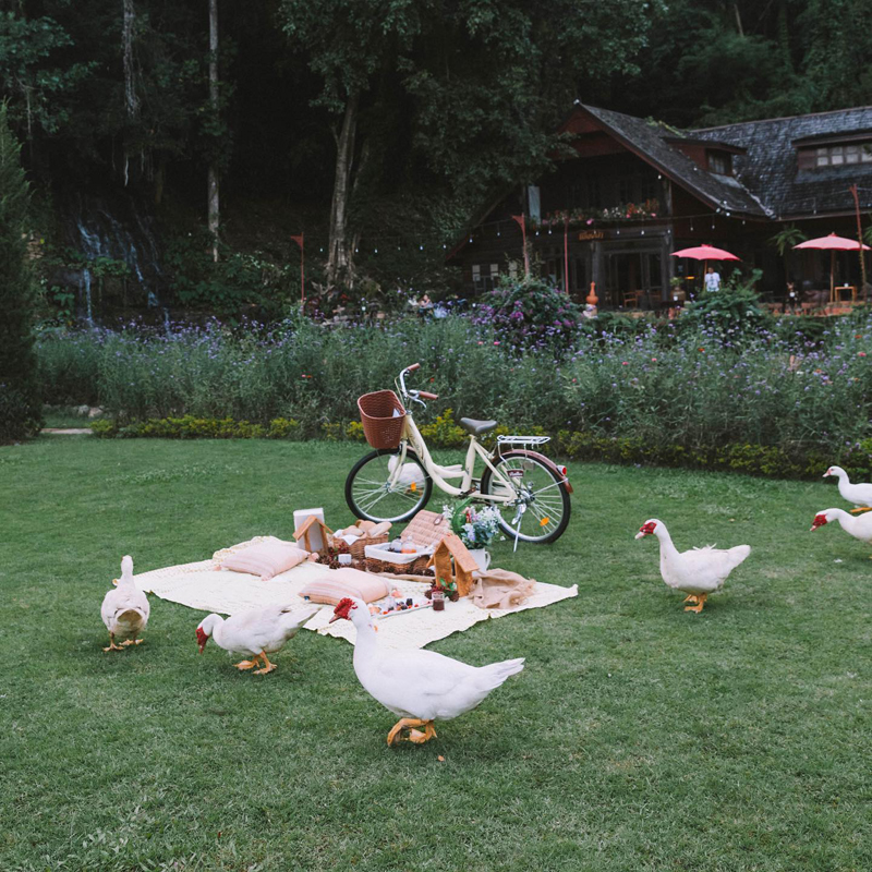 top 10+ ที่พักเชียงใหม่ 2567 ที่พักสวยๆ ใกล้ชิดธรรมชาติ อัปเดตใหม่ล่าสุด