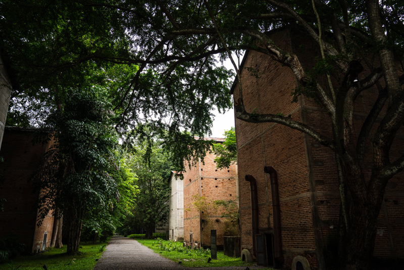 top 10+ ที่พักเชียงใหม่ 2567 ที่พักสวยๆ ใกล้ชิดธรรมชาติ อัปเดตใหม่ล่าสุด