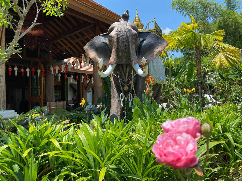 top 10+ ที่พักเชียงใหม่ 2567 ที่พักสวยๆ ใกล้ชิดธรรมชาติ อัปเดตใหม่ล่าสุด