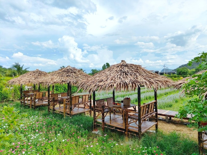 at wild cafe & restaurant, barme tea & taste, cafe kanchanaburi, chan dara cafe, chan nature cafe, din cafe, hoff cafe, hoff cafe de kan, je t&039;aime cafe, kan machi cafe, kappa garden’s farm, koffe.coffeebar, lakeview cafe, linlin cafe, lycka cafe&039;, m.a.s. coffee & roastery, ma cafe, mas coffee & roastery, meena cafe, move to mountain garden, mulberry mellow, rainforest café, ravi riva cafe, see through cafe, the attic, the covent cafe, the keeree, the paintbar kanchanaburi, the village farm to cafe, trio farm cafe, z2 cafe, กาญจนบุรี, คาเฟ่ ใกล้ฉัน, คาเฟ่กาญจนบุรี, คาเฟ่กาญจนบุรี 2023, คาเฟ่กาญจนบุรี 2566, คาเฟ่เปิดใหม่กาญจนบุรี, คาเฟ่ใกล้ฉัน, มะคาเฟ่, top 25+ คาเฟ่กาญจนบุรี [กรกฎาคม 2024] นั่งจิบกาแฟชิลล์ ๆ ท่ามกลางวิวดี ๆ พร้อมที่ถ่ายรูปสุดปัง