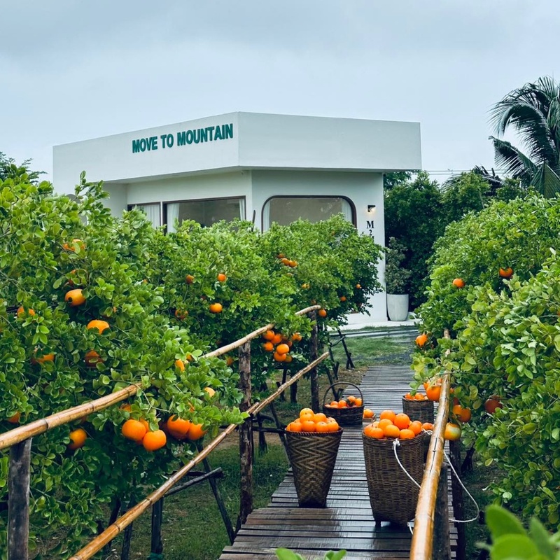 at wild cafe & restaurant, barme tea & taste, cafe kanchanaburi, chan dara cafe, chan nature cafe, din cafe, hoff cafe, hoff cafe de kan, je t&039;aime cafe, kan machi cafe, kappa garden’s farm, koffe.coffeebar, lakeview cafe, linlin cafe, lycka cafe&039;, m.a.s. coffee & roastery, ma cafe, mas coffee & roastery, meena cafe, move to mountain garden, mulberry mellow, rainforest café, ravi riva cafe, see through cafe, the attic, the covent cafe, the keeree, the paintbar kanchanaburi, the village farm to cafe, trio farm cafe, z2 cafe, กาญจนบุรี, คาเฟ่ ใกล้ฉัน, คาเฟ่กาญจนบุรี, คาเฟ่กาญจนบุรี 2023, คาเฟ่กาญจนบุรี 2566, คาเฟ่เปิดใหม่กาญจนบุรี, คาเฟ่ใกล้ฉัน, มะคาเฟ่, top 25+ คาเฟ่กาญจนบุรี [กรกฎาคม 2024] นั่งจิบกาแฟชิลล์ ๆ ท่ามกลางวิวดี ๆ พร้อมที่ถ่ายรูปสุดปัง