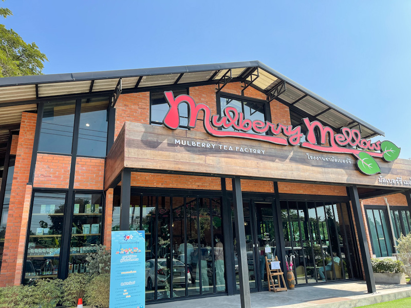 at wild cafe & restaurant, barme tea & taste, cafe kanchanaburi, chan dara cafe, chan nature cafe, din cafe, hoff cafe, hoff cafe de kan, je t&039;aime cafe, kan machi cafe, kappa garden’s farm, koffe.coffeebar, lakeview cafe, linlin cafe, lycka cafe&039;, m.a.s. coffee & roastery, ma cafe, mas coffee & roastery, meena cafe, move to mountain garden, mulberry mellow, rainforest café, ravi riva cafe, see through cafe, the attic, the covent cafe, the keeree, the paintbar kanchanaburi, the village farm to cafe, trio farm cafe, z2 cafe, กาญจนบุรี, คาเฟ่ ใกล้ฉัน, คาเฟ่กาญจนบุรี, คาเฟ่กาญจนบุรี 2023, คาเฟ่กาญจนบุรี 2566, คาเฟ่เปิดใหม่กาญจนบุรี, คาเฟ่ใกล้ฉัน, มะคาเฟ่, top 25+ คาเฟ่กาญจนบุรี [กรกฎาคม 2024] นั่งจิบกาแฟชิลล์ ๆ ท่ามกลางวิวดี ๆ พร้อมที่ถ่ายรูปสุดปัง