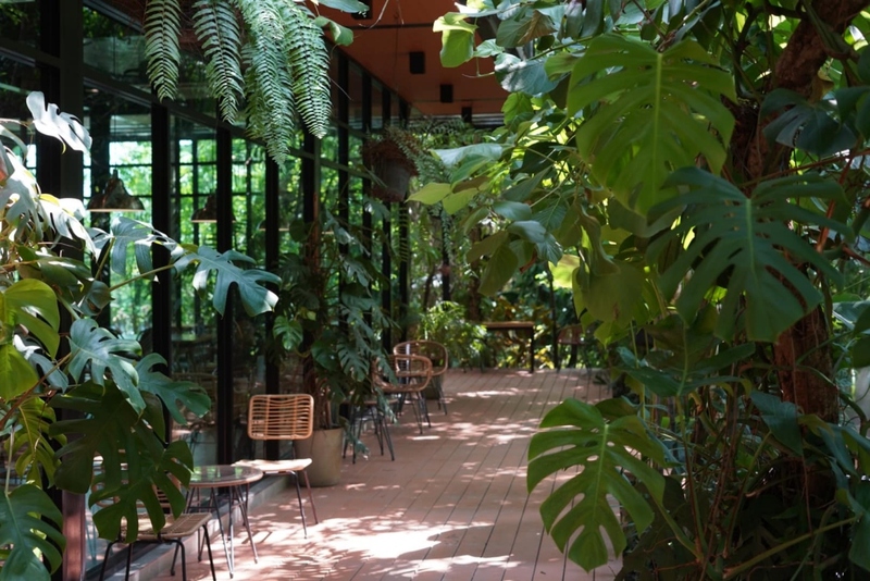 at wild cafe & restaurant, barme tea & taste, cafe kanchanaburi, chan dara cafe, chan nature cafe, din cafe, hoff cafe, hoff cafe de kan, je t&039;aime cafe, kan machi cafe, kappa garden’s farm, koffe.coffeebar, lakeview cafe, linlin cafe, lycka cafe&039;, m.a.s. coffee & roastery, ma cafe, mas coffee & roastery, meena cafe, move to mountain garden, mulberry mellow, rainforest café, ravi riva cafe, see through cafe, the attic, the covent cafe, the keeree, the paintbar kanchanaburi, the village farm to cafe, trio farm cafe, z2 cafe, กาญจนบุรี, คาเฟ่ ใกล้ฉัน, คาเฟ่กาญจนบุรี, คาเฟ่กาญจนบุรี 2023, คาเฟ่กาญจนบุรี 2566, คาเฟ่เปิดใหม่กาญจนบุรี, คาเฟ่ใกล้ฉัน, มะคาเฟ่, top 25+ คาเฟ่กาญจนบุรี [กรกฎาคม 2024] นั่งจิบกาแฟชิลล์ ๆ ท่ามกลางวิวดี ๆ พร้อมที่ถ่ายรูปสุดปัง