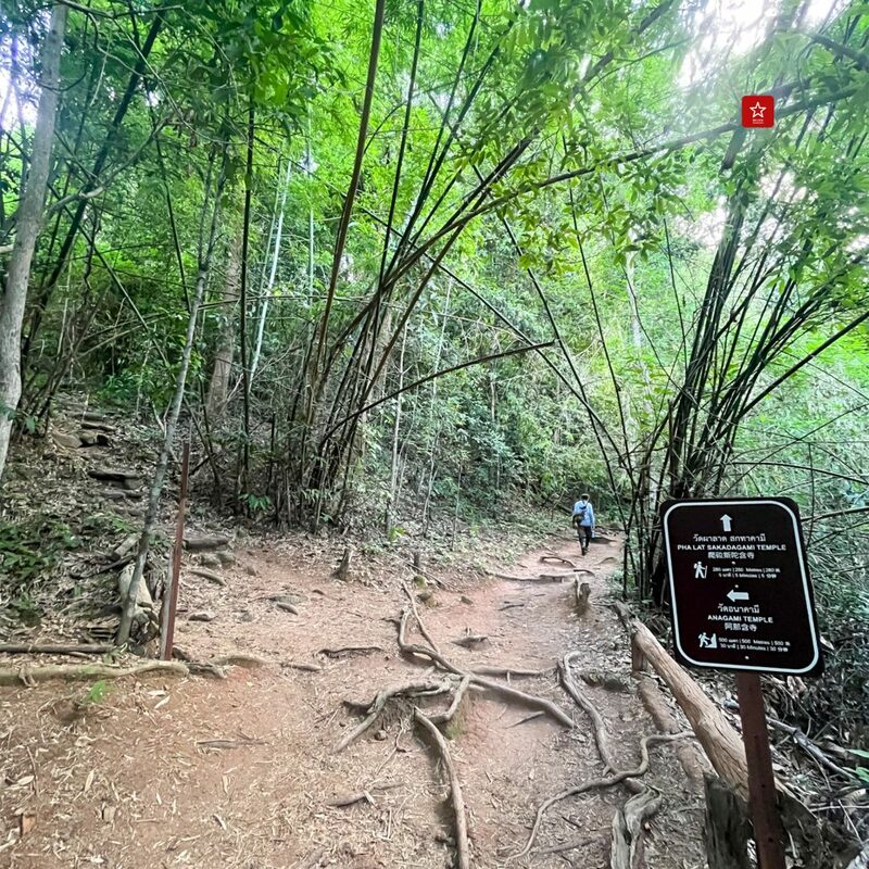 monk’s trail, reviewchiangmai, ดอยสุเทพ, รีวิวเชียงใหม่, วัดผาลาด, วิ่งเทรลเชียงใหม่, เดินป่าเชียงใหม่, เดินเขาเชียงใหม่, เดินป่าเชียงใหม่ พาเที่ยววัดผาลาด – ดอยสุเทพ เส้นทางศึกษาธรรมชาติ